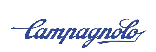 Introduction to Campagnolo Road Bike Gear Systems!