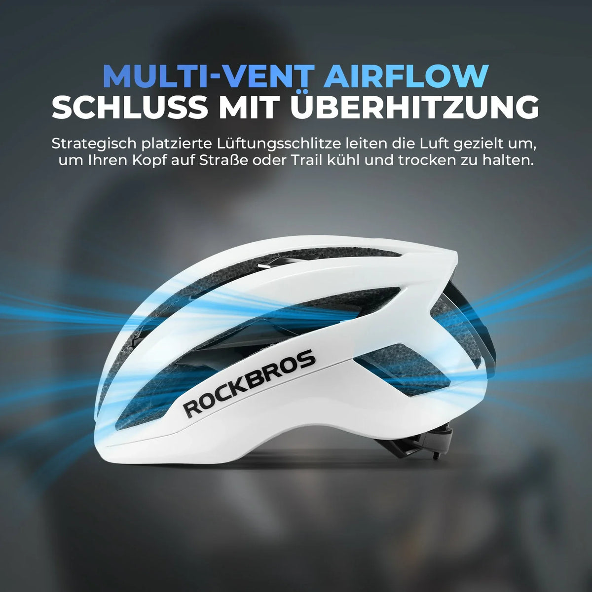 ROCKBROS Leichter Fahrradhelm LK-79